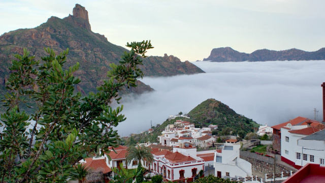 Tejeda