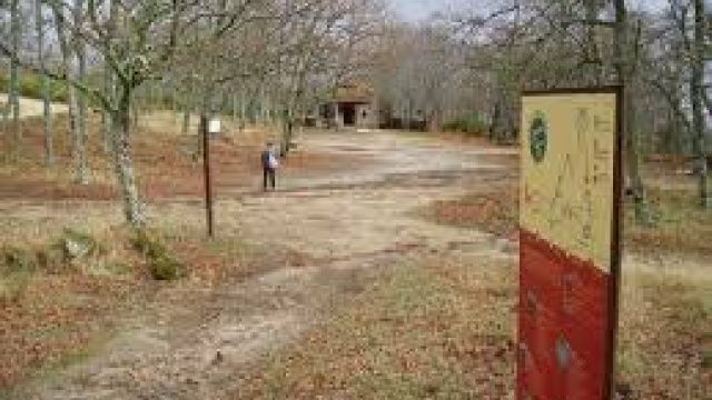 Camino de las Raíces