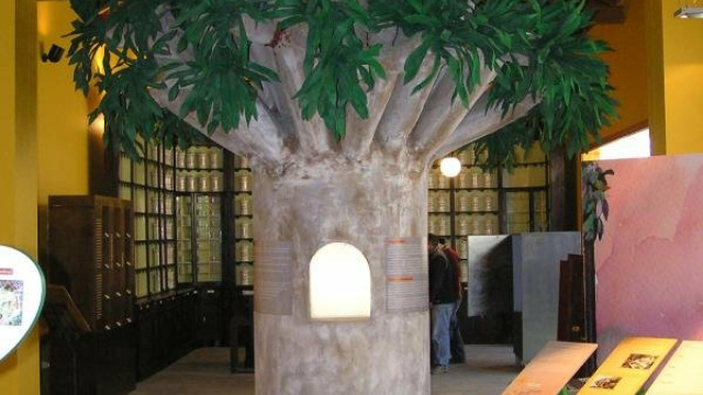 Centro de Plantas Medicinales de Tejeda