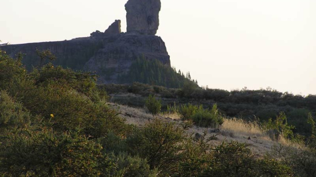 Roque Nublo