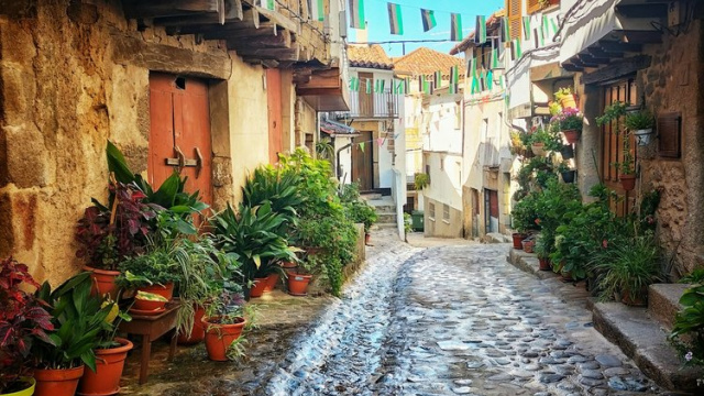 Calle típica