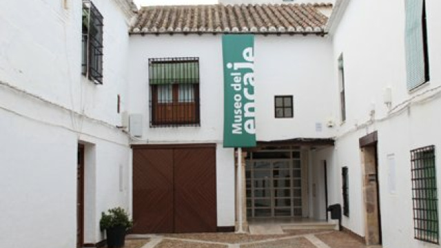 Museo de Encaje Y Blonda