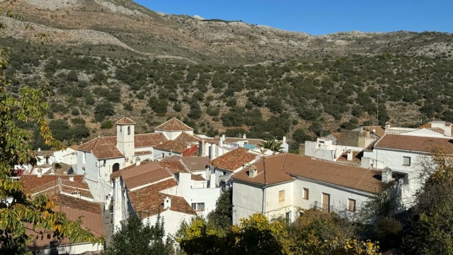 Parauta