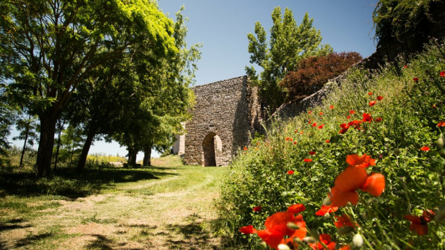 Puerta árabe