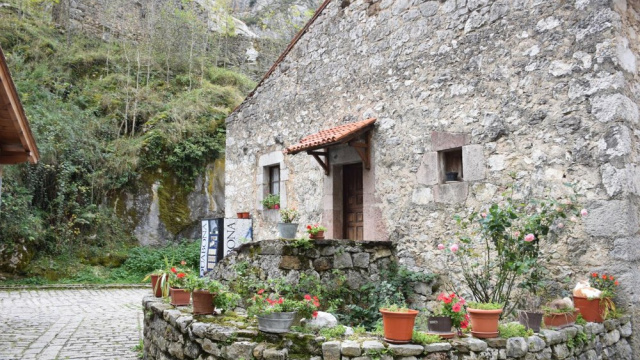 Bulnes