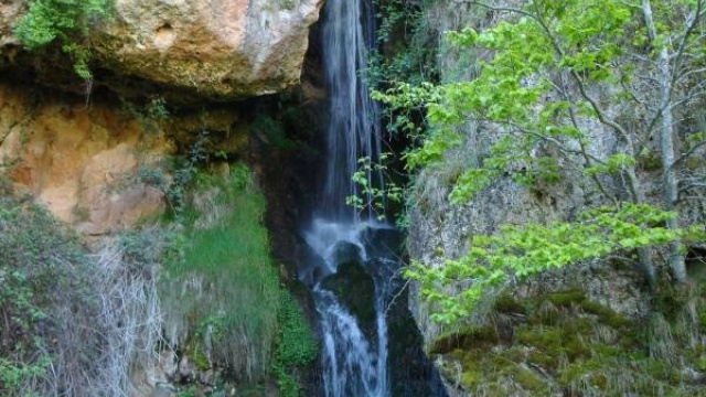 Picos de Urbión